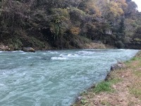 秩父フライフィールド 釣果