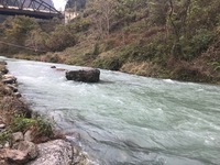 秩父フライフィールド 釣果