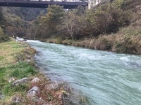 秩父フライフィールド 釣果