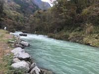 秩父フライフィールド 釣果