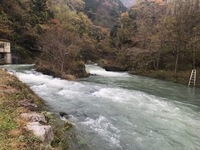 秩父フライフィールド 釣果