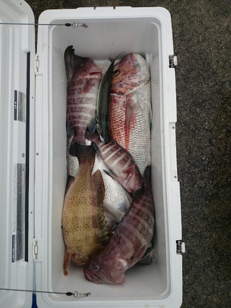 エンペラー 釣果