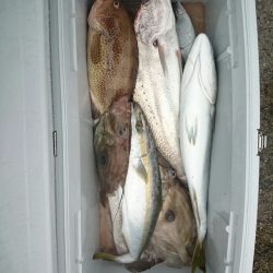 エンペラー 釣果