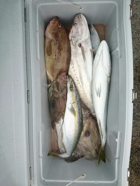 エンペラー 釣果