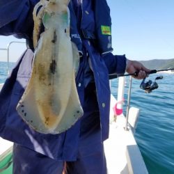 Magic(マジック) 釣果