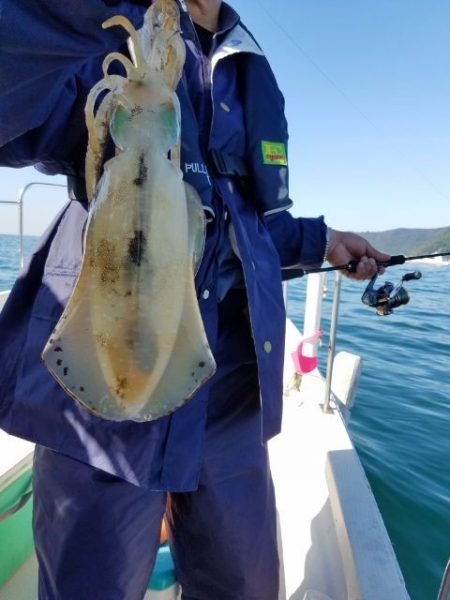 Magic(マジック) 釣果