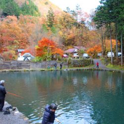 小菅トラウトガーデン 釣果