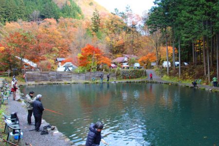 小菅トラウトガーデン 釣果
