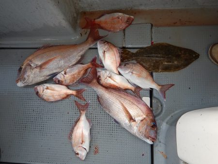 sea boss　シーボス 釣果