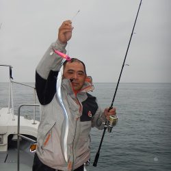 sea boss　シーボス 釣果