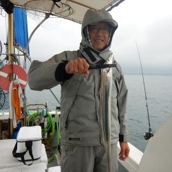 sea boss　シーボス 釣果