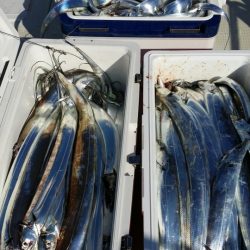 オーフリー 釣果