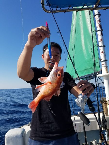 香織丸 釣果