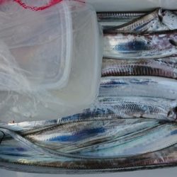 オーフリー 釣果