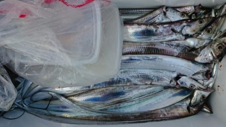 オーフリー 釣果