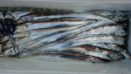 オーフリー 釣果