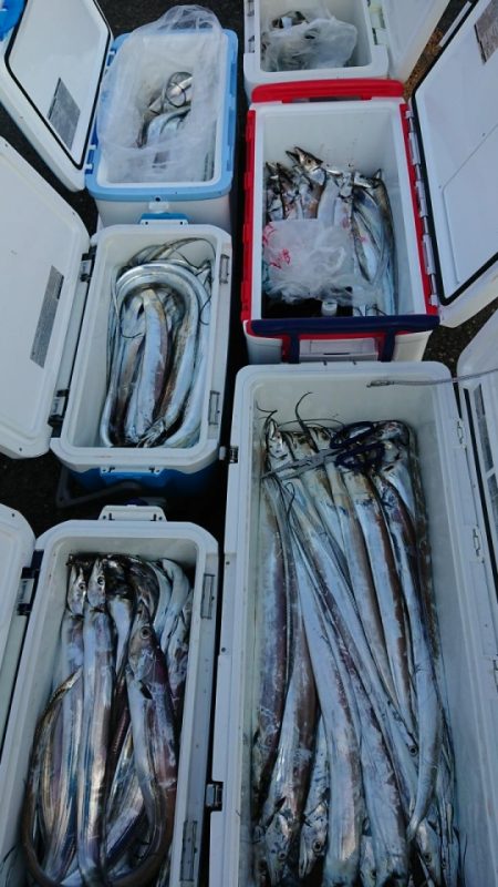 オーフリー 釣果