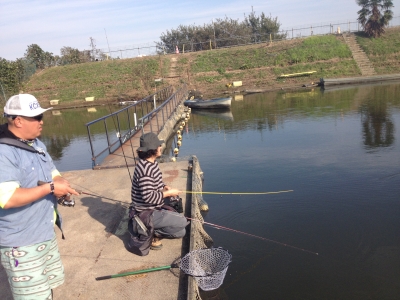 吉羽園 釣果