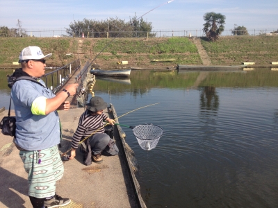 吉羽園 釣果