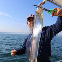 松本釣船２ 釣果