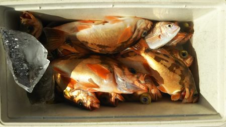 モンロー号 釣果