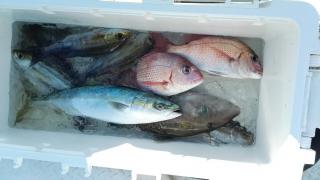 長栄丸(静岡) 釣果