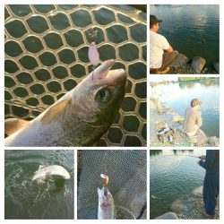 みどりフィッシングエリア 釣果