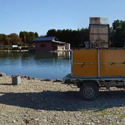 みどりフィッシングエリア 釣果