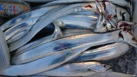 オーフリー 釣果