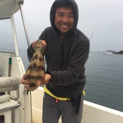 マタウマリンサービス 釣果