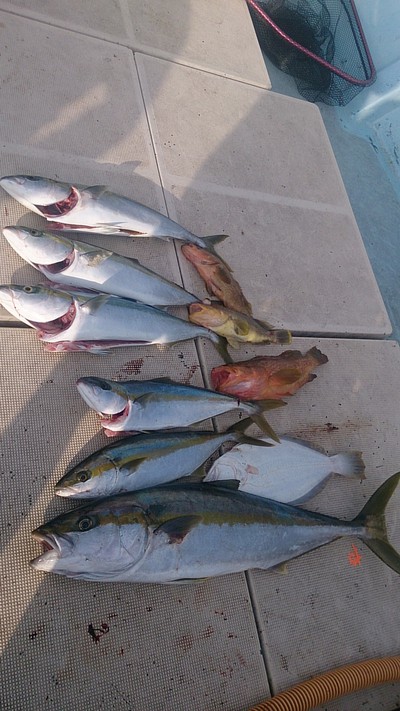 旭星釣りセンター 釣果