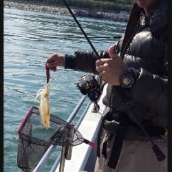 内浜丸 釣果