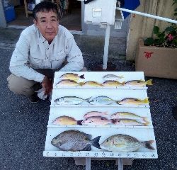 本部釣りイカダ 釣果