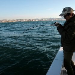 フルコンタクト 釣果