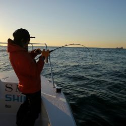 フルコンタクト 釣果