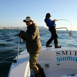 フルコンタクト 釣果