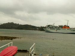 本部釣りイカダ 釣果