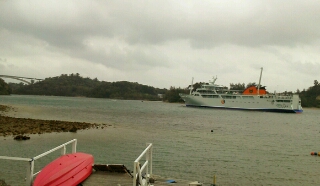 本部釣りイカダ 釣果