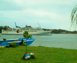 本部釣りイカダ 釣果