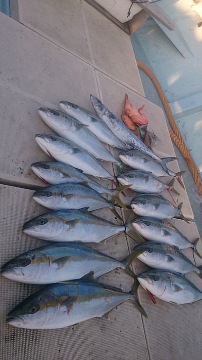 旭星釣りセンター 釣果