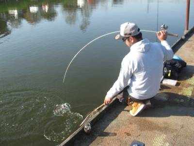 吉羽園 釣果