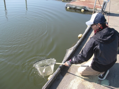 吉羽園 釣果