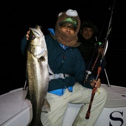 フルコンタクト 釣果