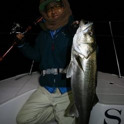 フルコンタクト 釣果