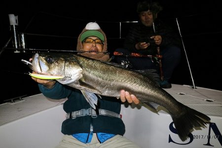 フルコンタクト 釣果