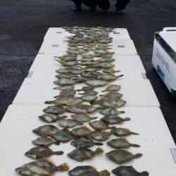 オーフリー 釣果