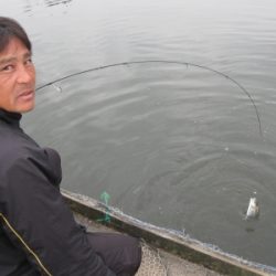 吉羽園 釣果