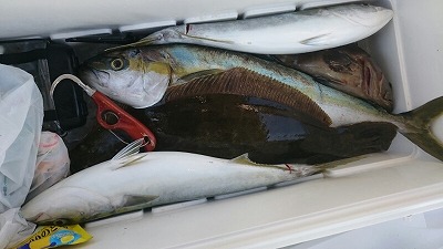 海龍丸(福岡) 釣果