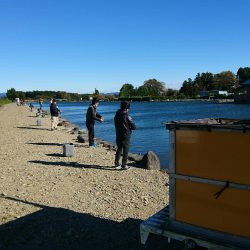 みどりフィッシングエリア 釣果