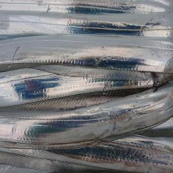 オーフリー 釣果